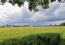 Toplage Erzhausen: schöne, freist. Villa (2-FH) am Feldrand