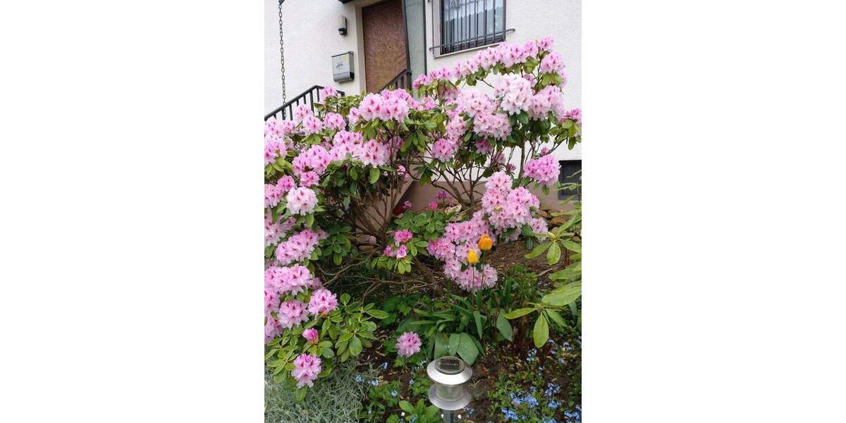 Einfamilienhaus Oberursel Stierstadt - 6 Zimmer, 137 m&sup2;, 780.000&euro; | Angebot:25390759