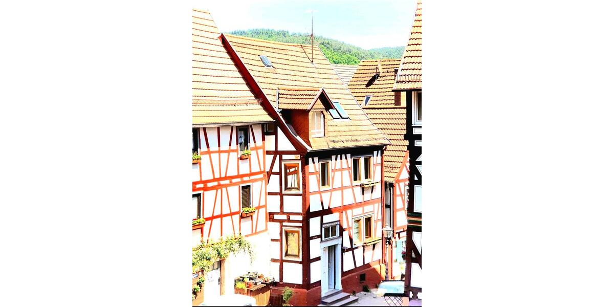 Einfamilienhaus Hanau - 6 Zimmer, 160 m&sup2;, 1.300&euro; | Angebot:26327927