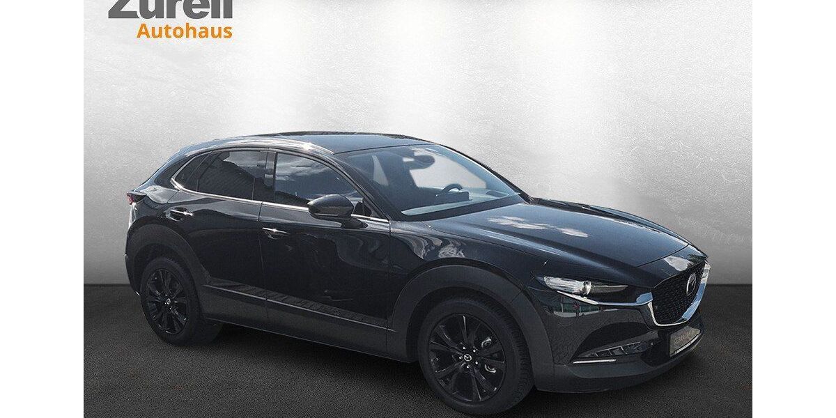 Mazda CX-30 20.169 km 27.999 &euro; Darmstadt 64293