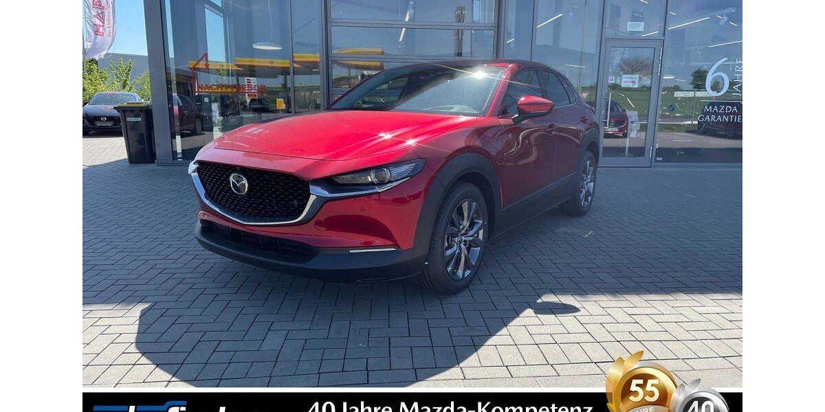 Mazda CX-30 3.000 km 33.990 &euro; Karben 61184