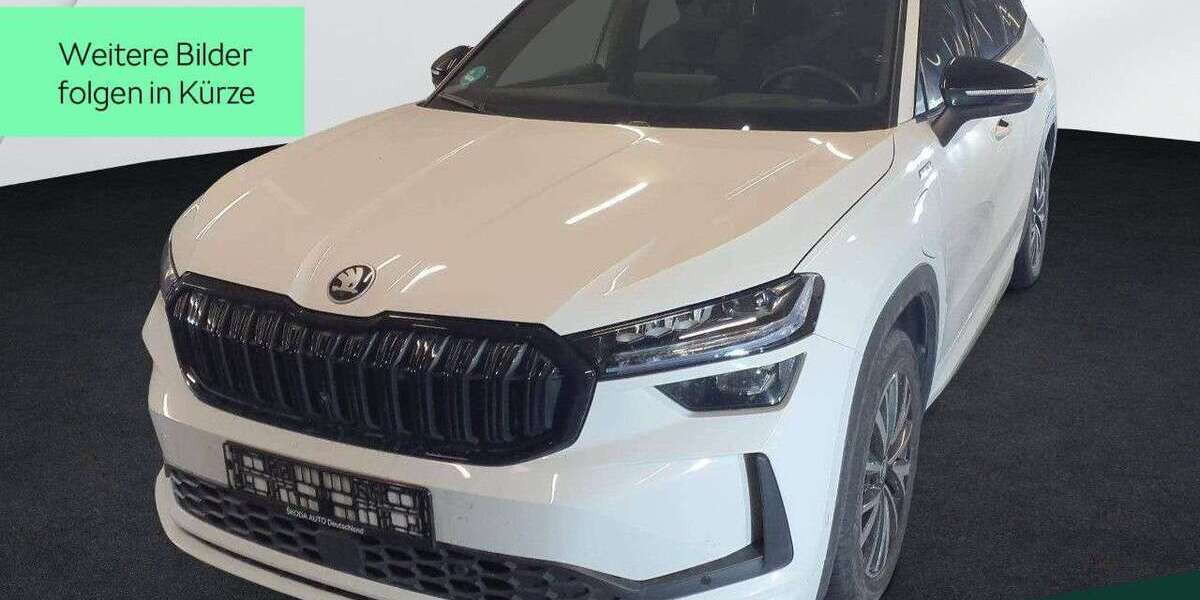 Skoda Kodiaq 21.900 km 47.999 &euro; Mühlheim a. Main 63165