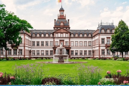 Wohnung Hanau Lamboy - 2 Zimmer, 75 m&sup2;, 750&euro; | Angebot:27316307