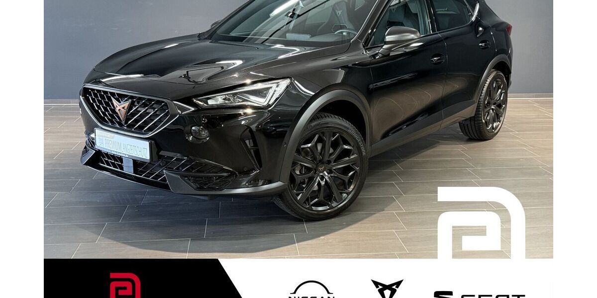 Cupra Formentor 27.287 km 32.250 &euro; Offenbach 63069