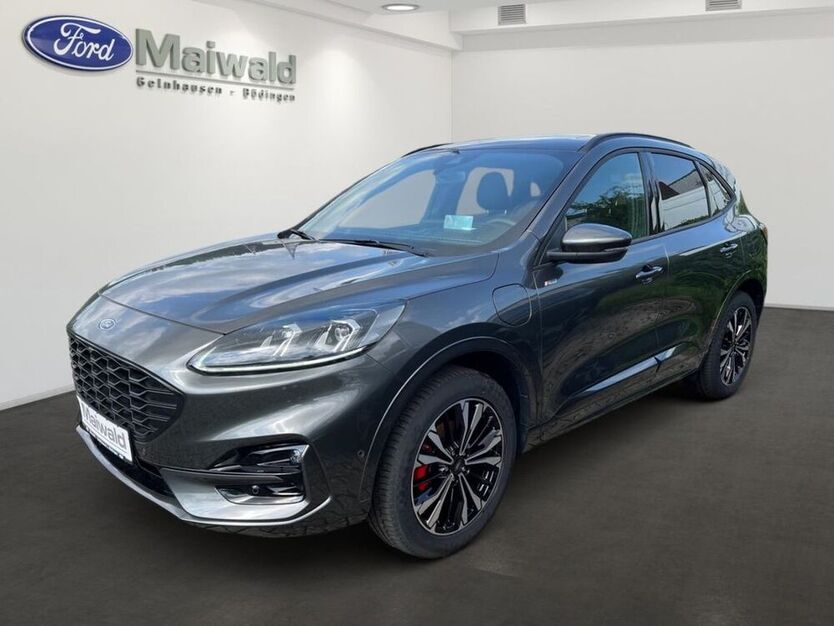 Kuga