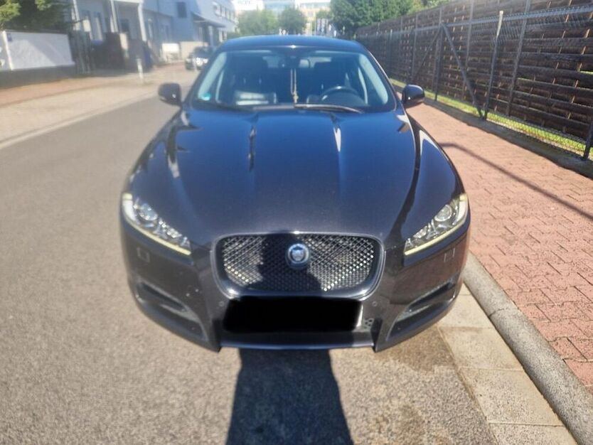 XF