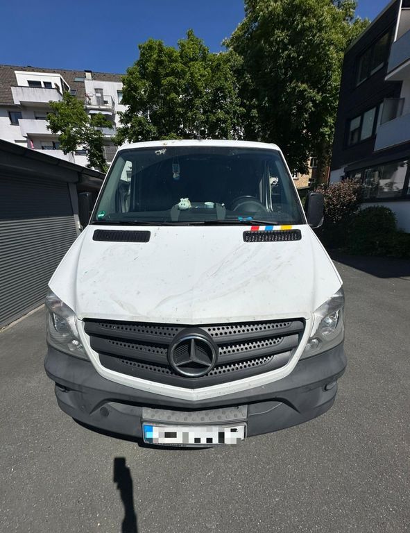 Sprinter