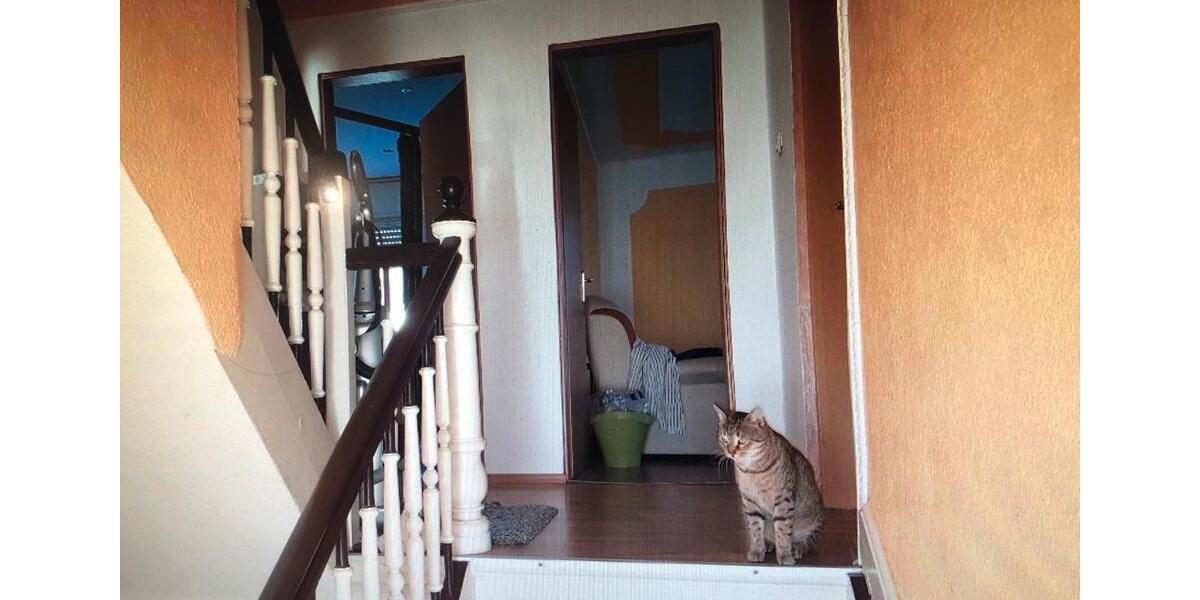 Ich bitte Einfamilienhaus zu vermieten in FreigerichtSomborn 7 zimmer