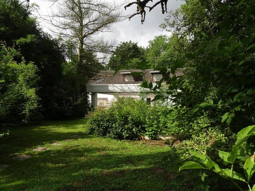 Haus am Park Frankfurt-Sossenheim 2300qm, 14Z, 3 Bäder 450qm Nutz