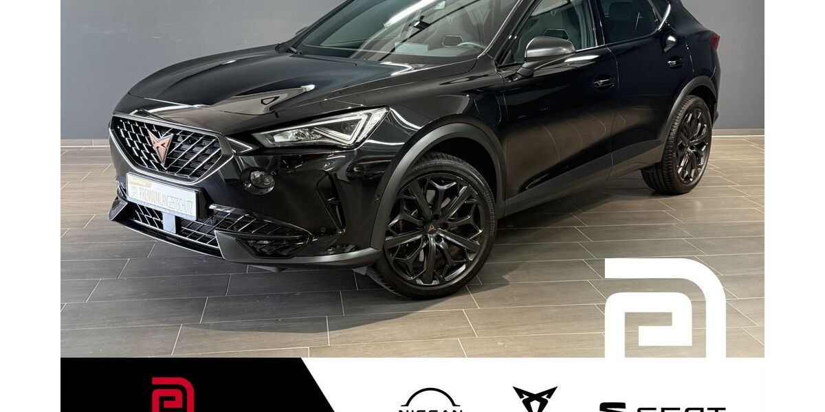 Cupra Formentor 38.073 km 33.164 &euro; Offenbach 63069