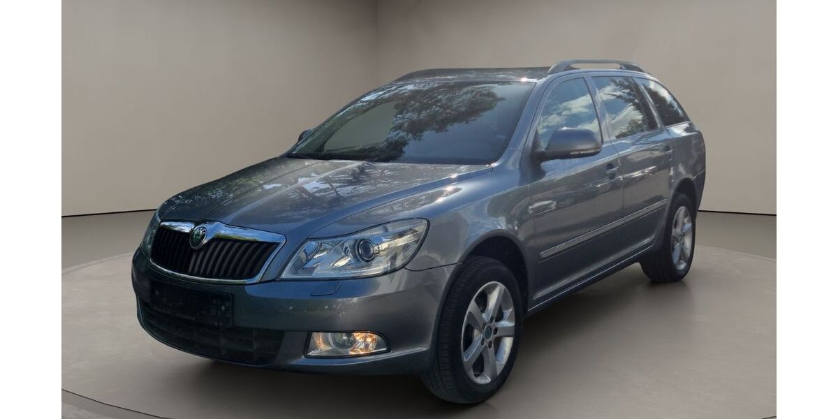Skoda Octavia 172.271 km 6.999 &euro; Münster/Hessen 64839