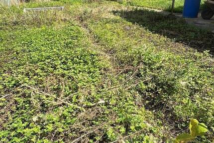 Wir haben es gefunden! Ihr ebenerdiges Grundstück zimmer