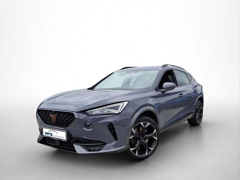 Cupra Formentor 40.239 km 31.750 € Friedberg 61169