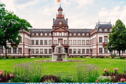 Wohnung Hanau Kesselstadt - 3 Zimmer, 76 m&sup2;, 850&euro; | Angebot:26264542