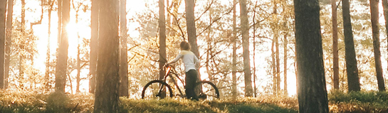 Radwege Taunus