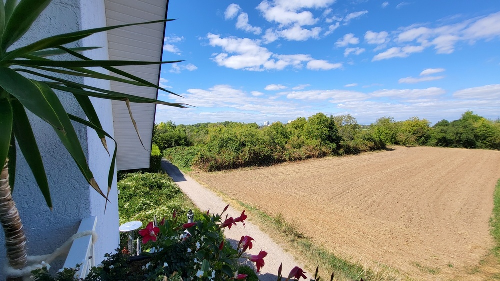 moderne DHH mit Einliegerwohnung im 