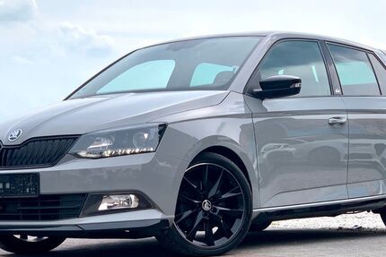 Skoda Fabia 92.000 km 14.100 € Offenbach 63069