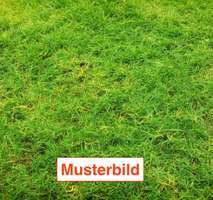 Grundstück zu verkaufen in Frankfurt 2.410.000 € 1962 m² zimmer