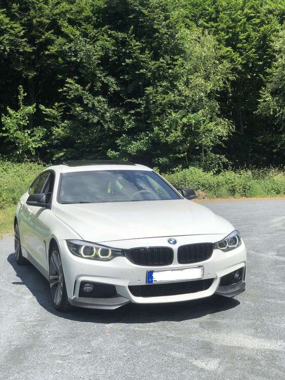 BMW 430 127.000 km 22.900 € Schaafheim 64850