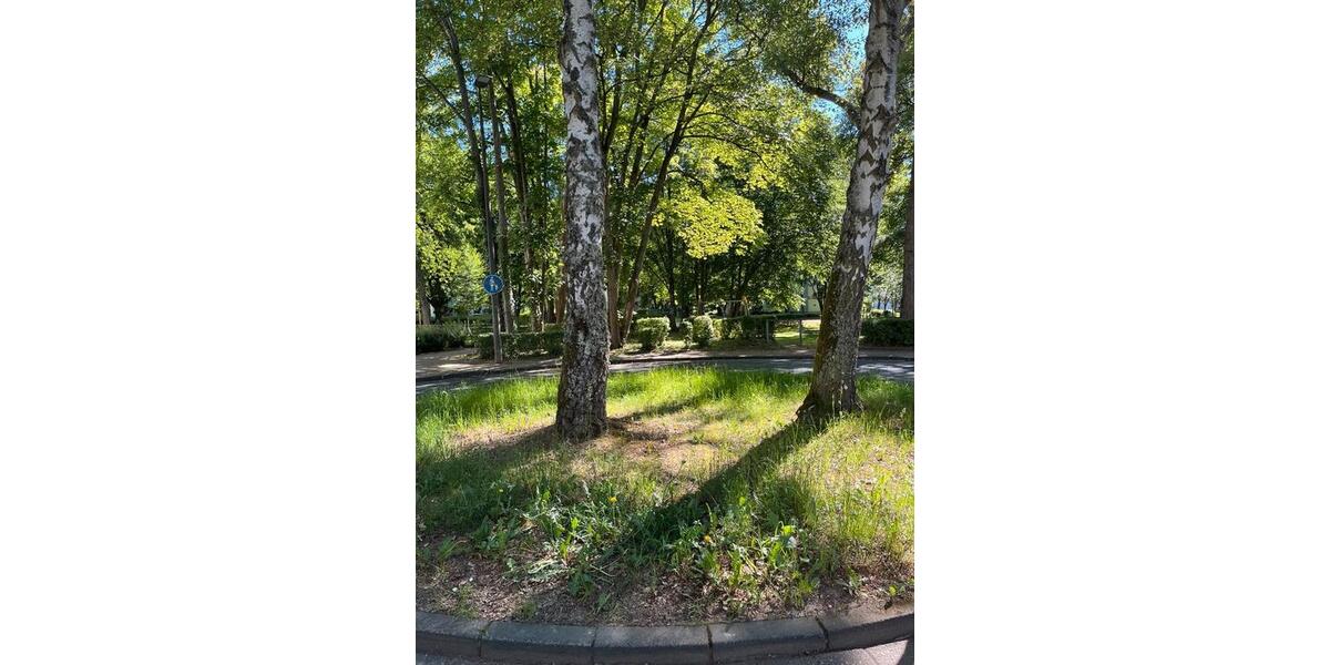 Etagenwohnung Bad Homburg vor der Höhe Gonzenheim - 3 Zimmer, 69 m&sup2;, 299.000&euro; | Angebot:27461366