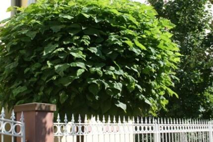 Neues Jahr, neues Glück in Hanau 3 zimmer