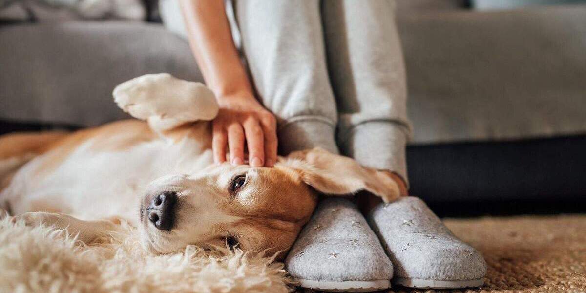 Barrierefreie Eigentumswohnung mit Terrasse und elektrischen Rollläden 1 zimmer