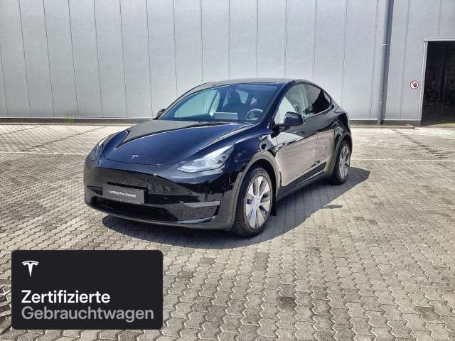 Model Y