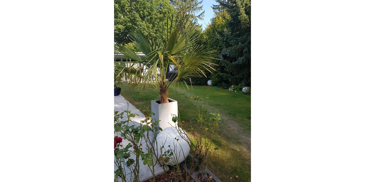 Einfamilienhaus Dreieich - 9 Zimmer, 300 m&sup2;, 3.990&euro; | Angebot:26336525