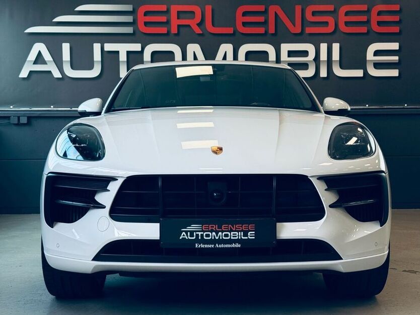 Macan