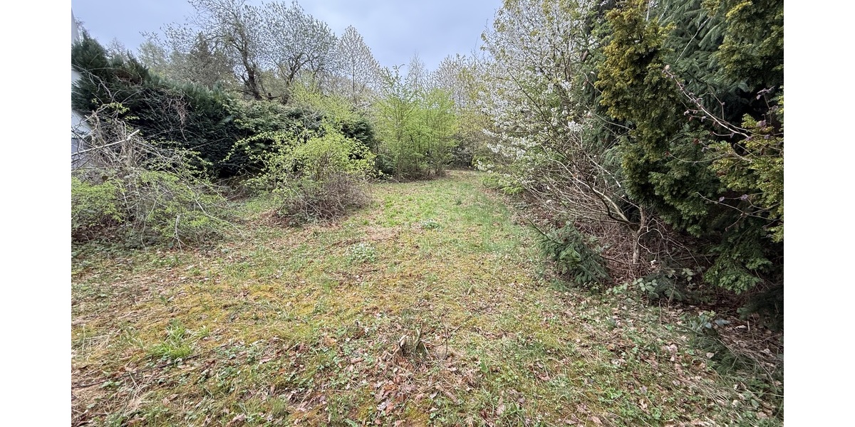 Kelkheim: Idyllisches Grundstück für Ihr Traumhaus im Wochenendgebiet - Grundstück Kelkheim | Angebot:26133970