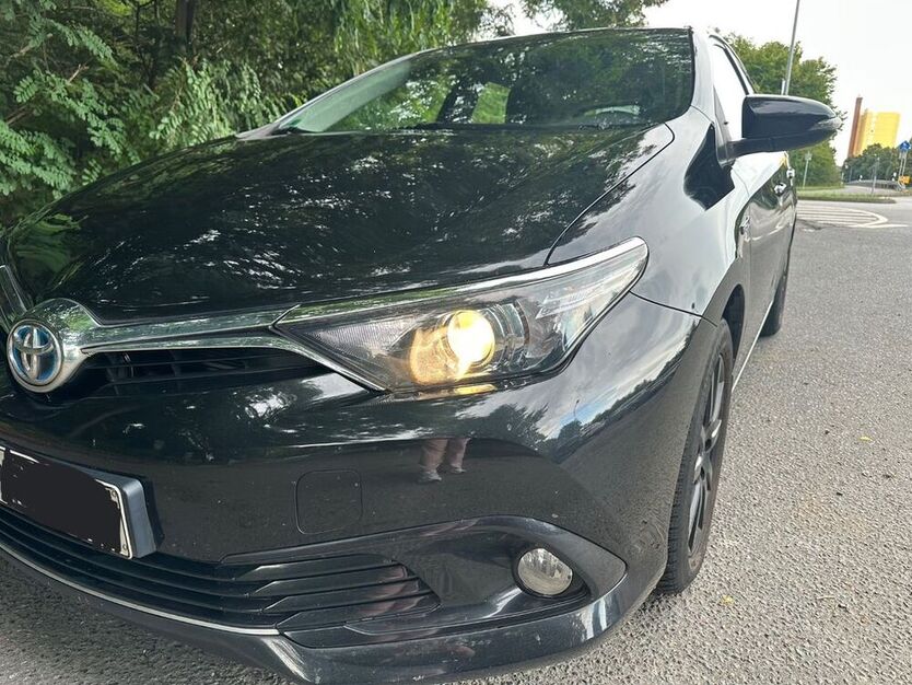 Auris