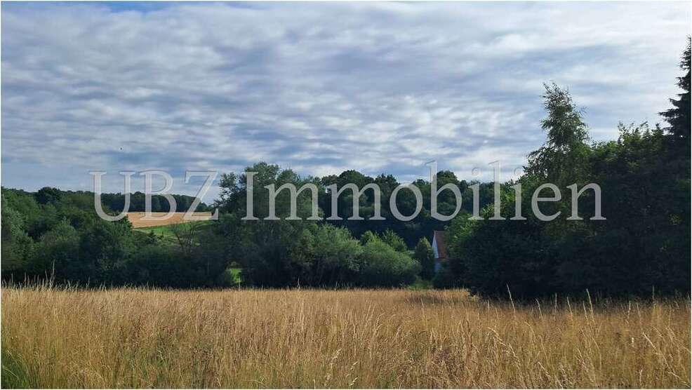 Grundstück zu verkaufen in Alzenau 440.000 € 851 m²