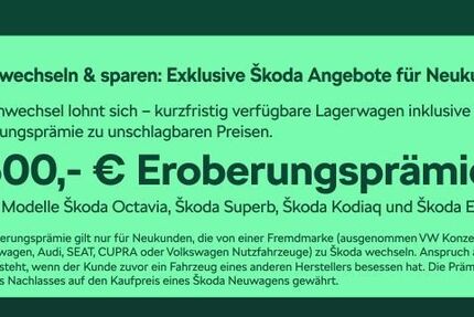 Skoda Kodiaq 4.500 km 53.480 &euro; Frankfurt 60435