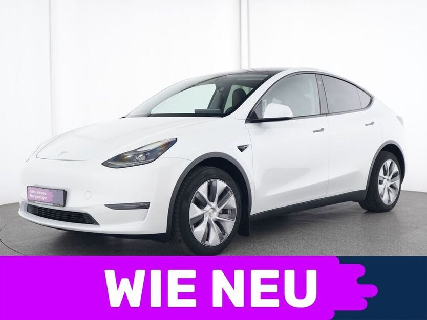 Model Y
