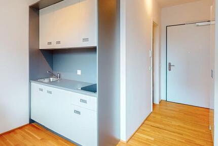 Gemütliches 1-Zimmer-Apartment mit moderner Ausstattung zu vermieten!
