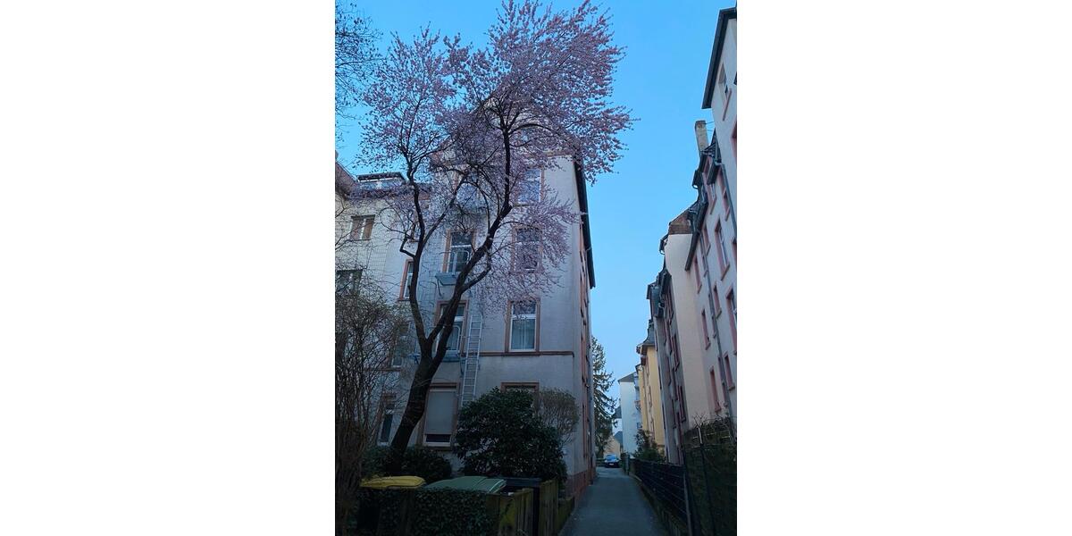 Etagenwohnung Frankfurt am Main Nordend Ost - 3 Zimmer, 68 m&sup2;, 460.000&euro; | Angebot:26665301