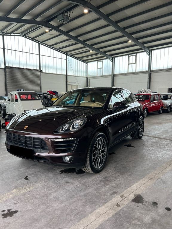 Macan
