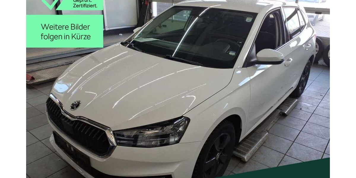 Skoda Fabia 55.800 km 19.488 &euro; Mühlheim 63165