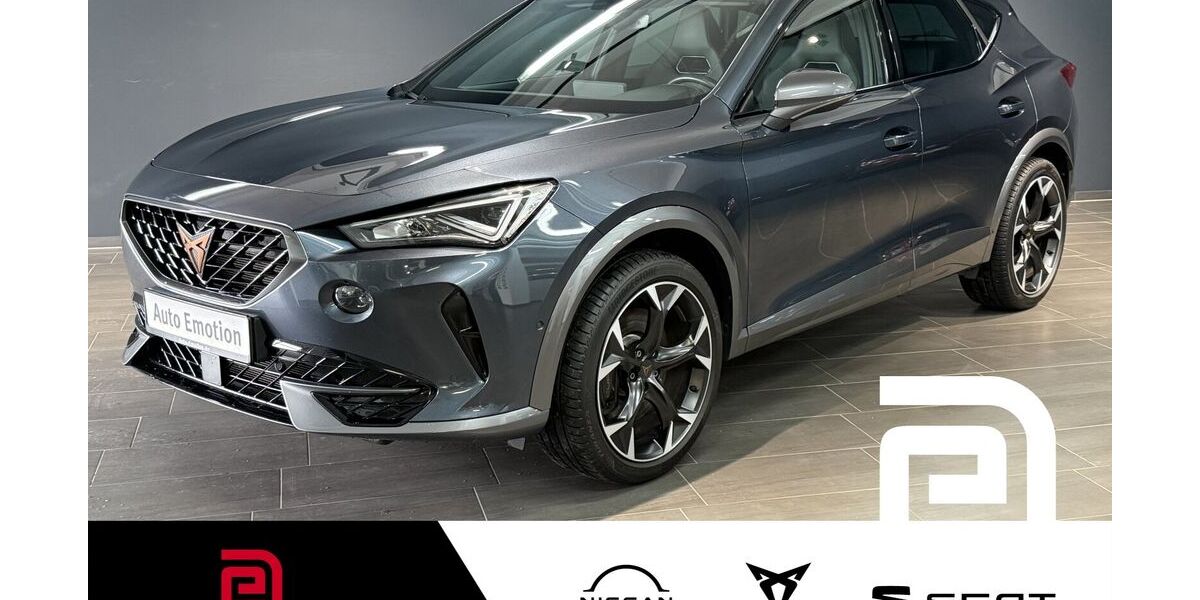 Cupra Formentor 47.399 km 27.550 &euro; Offenbach 63069