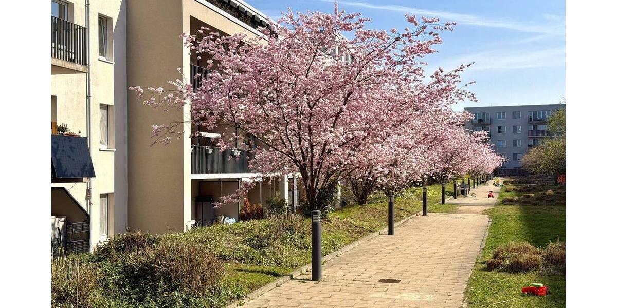 Etagenwohnung Frankfurt Gallus - 4 Zimmer, 116 m&sup2;, 949.000&euro; | Angebot:26175042