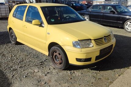 VW Polo 224.000 km 600 &euro; Westerfeld 61267