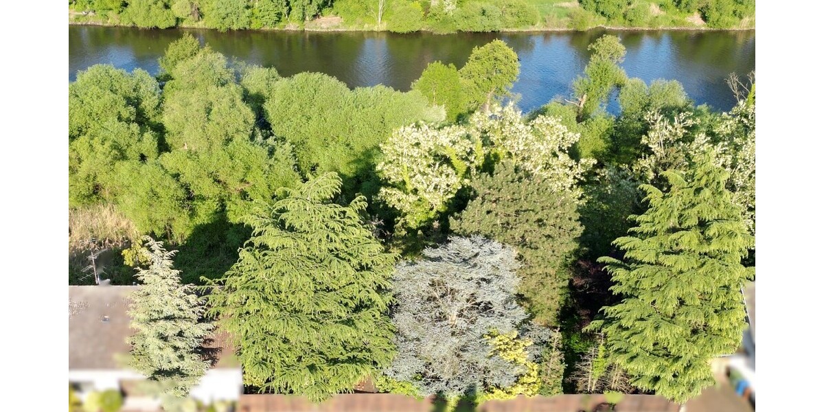 albero:) direkt am Main zimmer