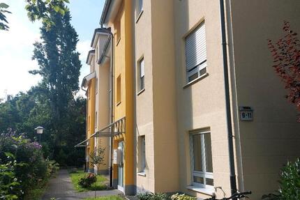 3 Zimmer Wohnung