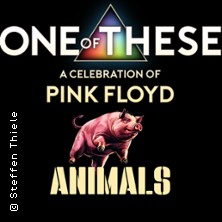 One Of These – A celebration of Pink Floyd / Animals Tour 30.01.2026 DAS BETT