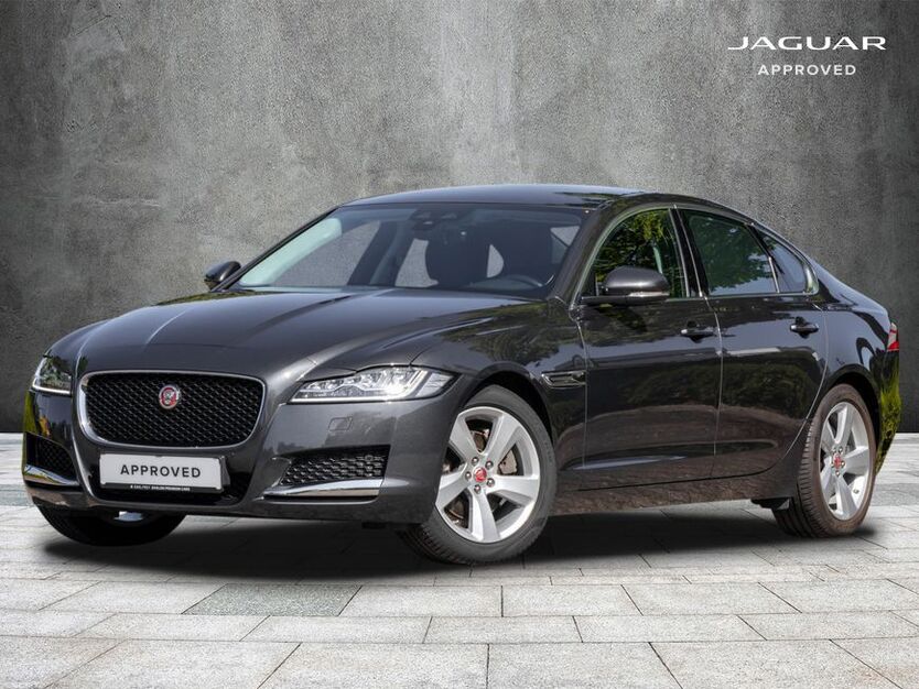 XF