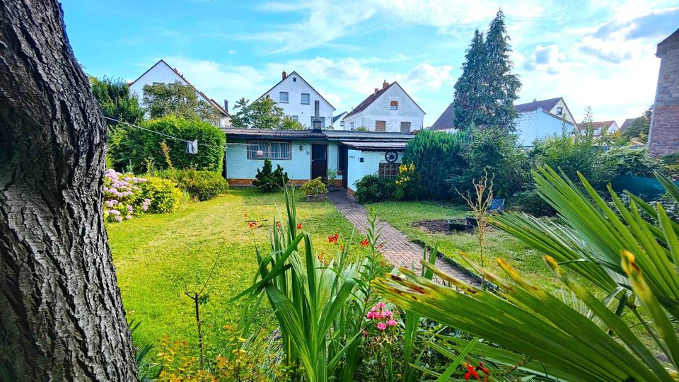 Mehrfamilienhaus, Wohnhaus Offenbach am Main Bürgel - 7 Zimmer, 207 m&sup2;, 599.000&euro; | Angebot:26723166