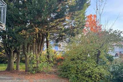 Grundstück Darmstadt Darmstadt-Ost - 1.290.000&euro; | Angebot:25875352