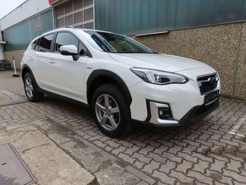 XV