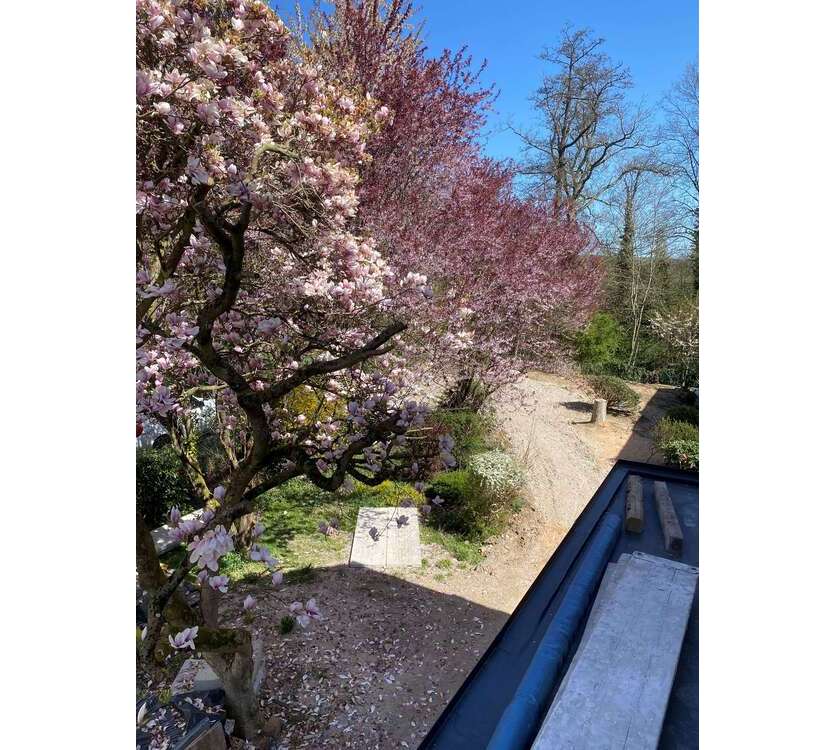 Wohnung zum Mieten in Bad Homburg 2.000 € 80 m²