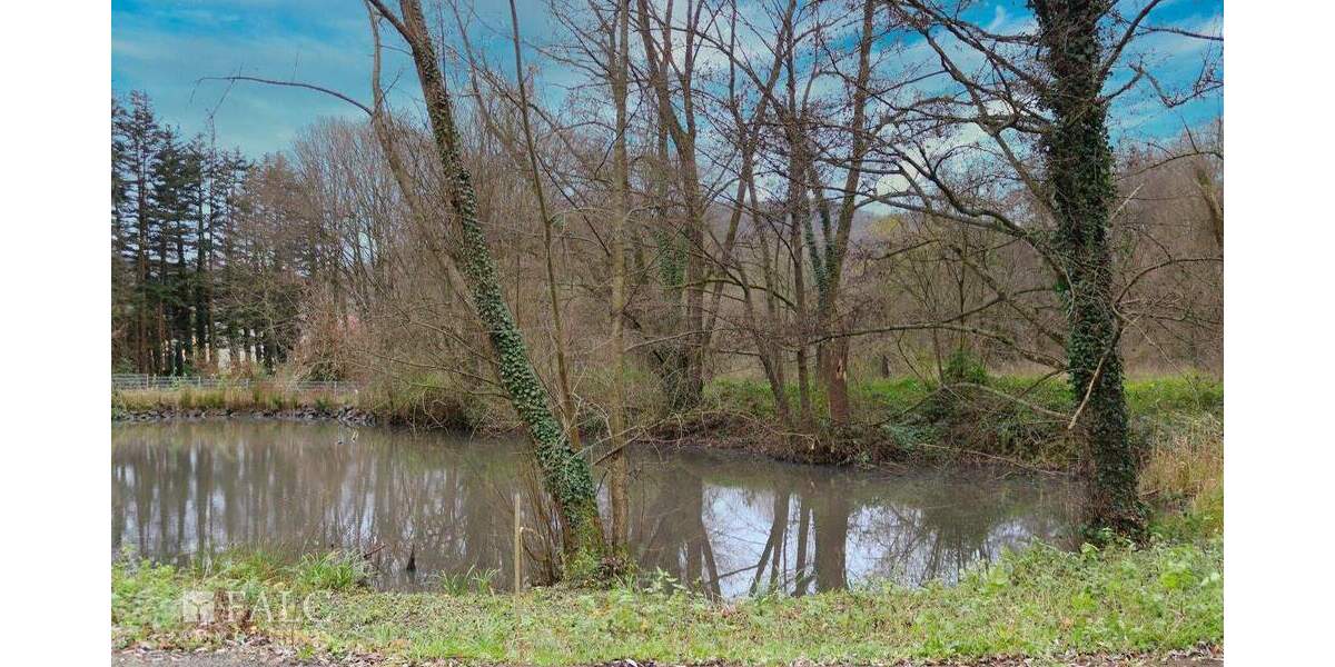 Grundstück in exclusiver Toplage mit Bestand der besonderen Art- zimmer